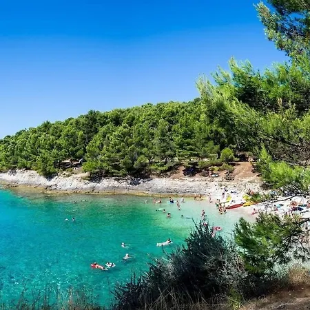 Sea View With 2 Bedroms, Pet Friendly *